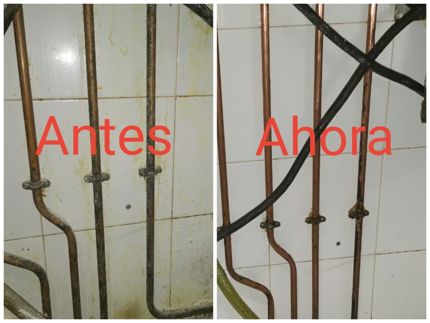 Imagen 131891421_1111978049233394_5791323479112718786_n.jpg