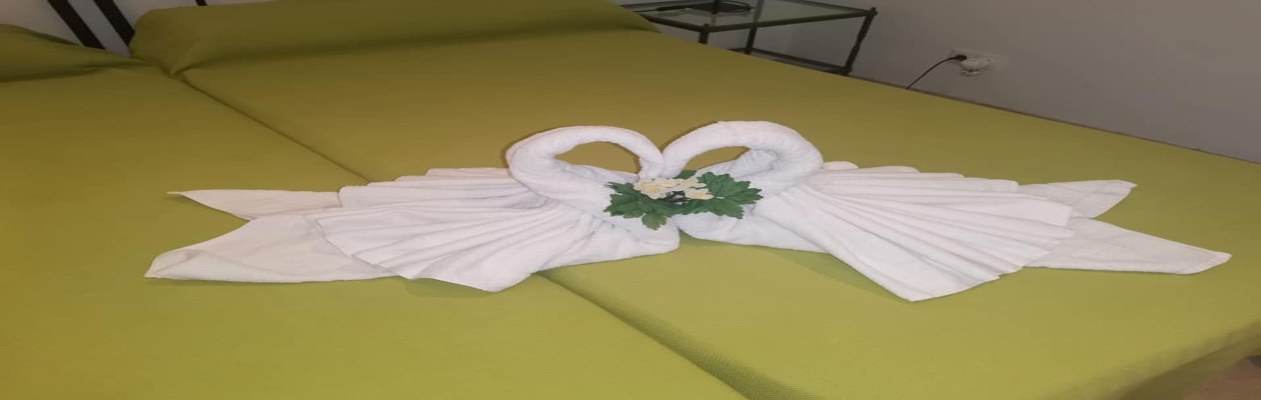 Imagen 471446027_2051029121994944_4266234970717510617_n.jpg