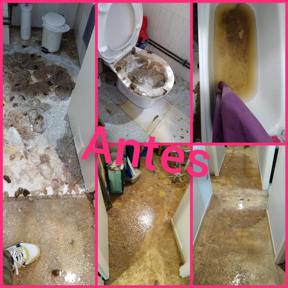 Imagen 472557159_2059428091155047_3418708862759072057_n.jpg