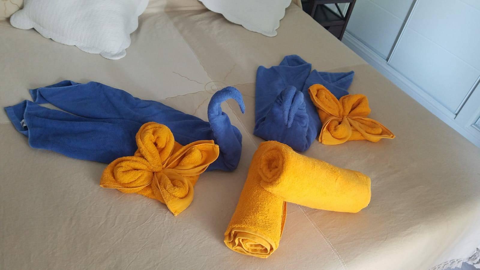 Imagen 59919621_667692336995303_6529406168975015936_n.jpg