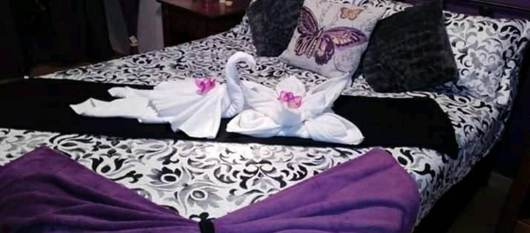 Imagen 62139687_685797161851487_5418614239092801536_n.jpg